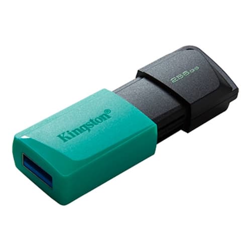 Pen Drive KINGSTON Exodia M 256GB USB 3.2 Gen 1 Tipo A Negro