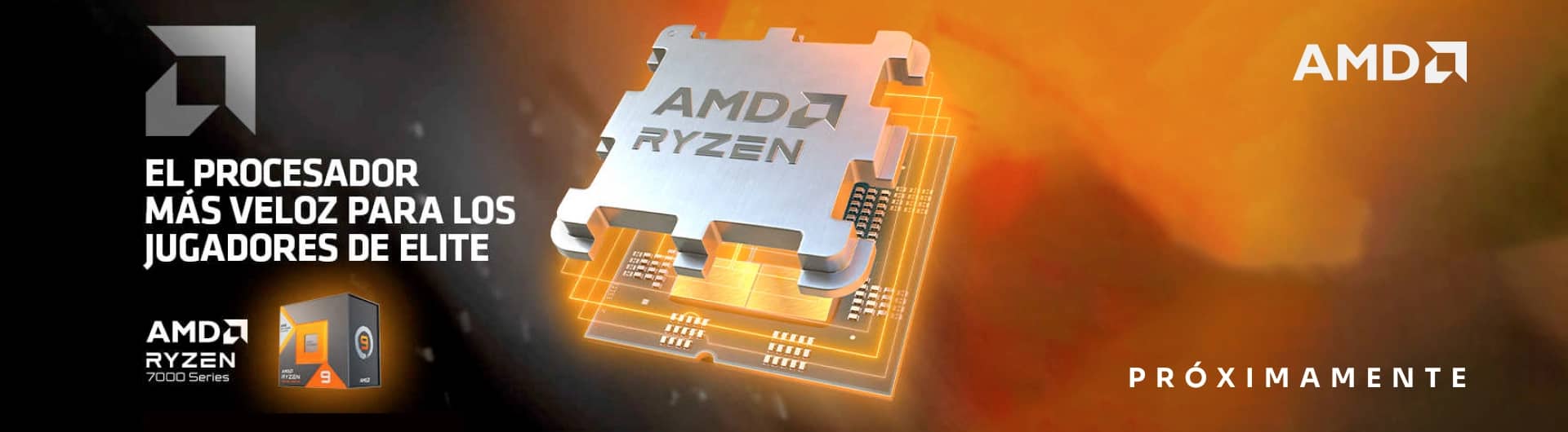 AMD